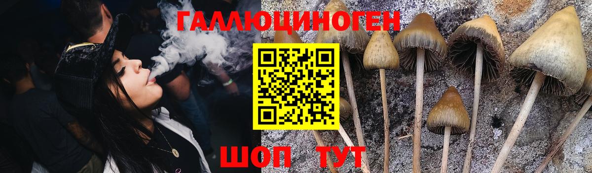 Галлюциногенные грибы мухоморы Казань