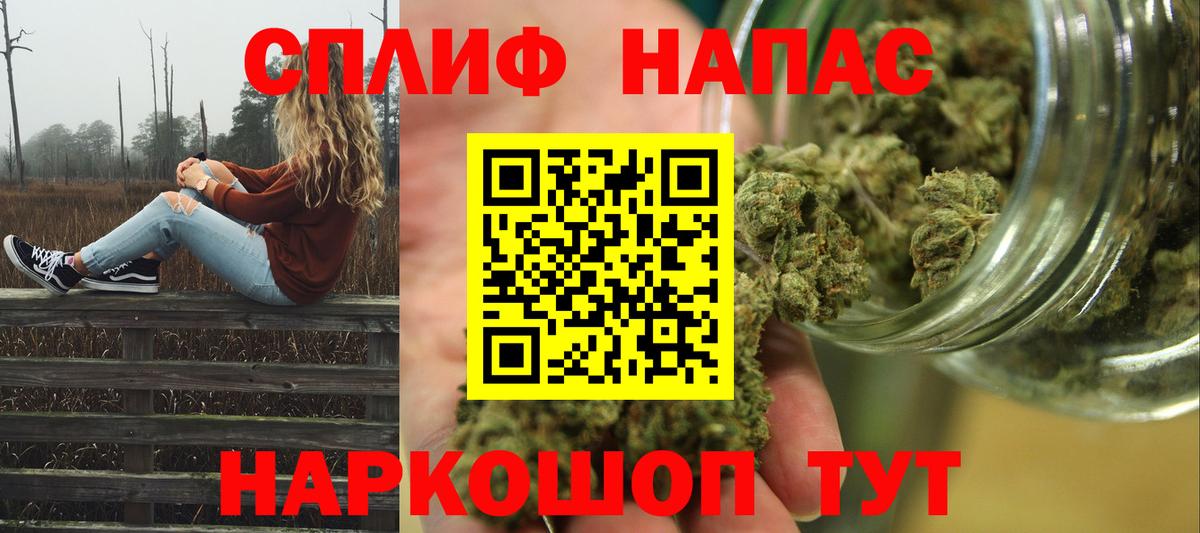 Бошки марихуана ГИДРОПОН  Конопля Ganja  Казань  Вход с VPN  Канабис Bruce Banner 